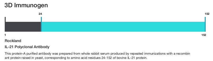 IL-21 Polyclonal Antibody