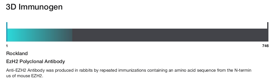 EzH2 Polyclonal Antibody