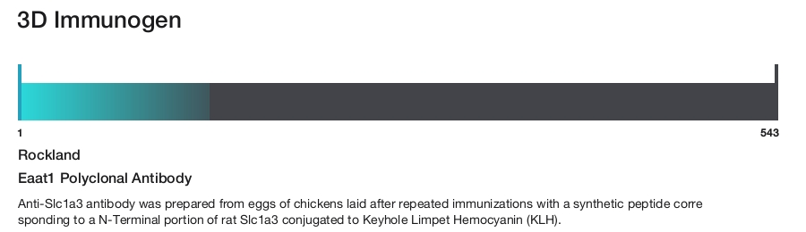 Eaat1 Polyclonal Antibody