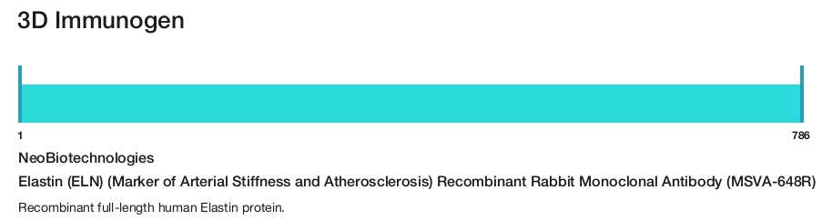 Elastin (ELN) (Marker of Arterial Stiffness and Atherosclerosis) Recombinant Rabbit Monoclonal Antibody (MSVA-648R)