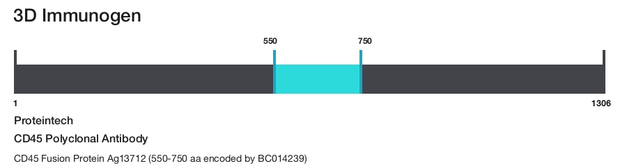 CD45 Polyclonal Antibody