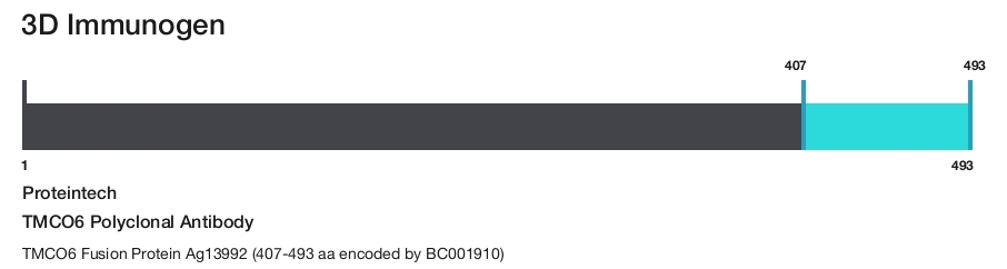 TMCO6 Polyclonal Antibody