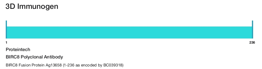 BIRC8 Polyclonal Antibody