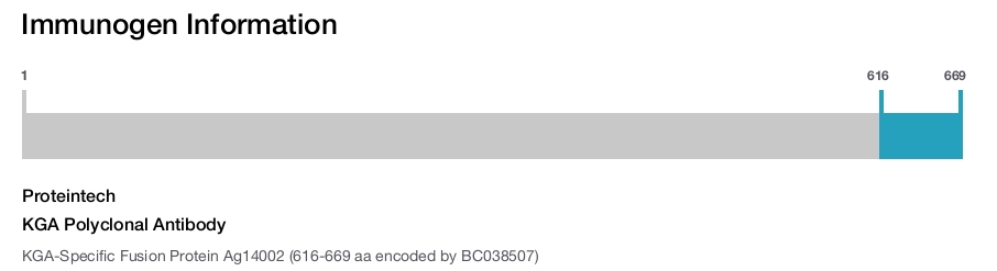 KGA Polyclonal Antibody