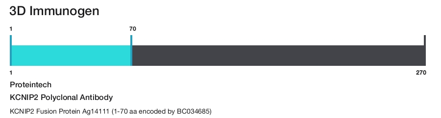 KCNIP2 Polyclonal Antibody