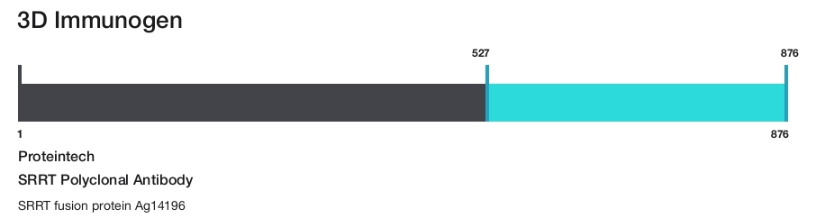 SRRT Polyclonal Antibody