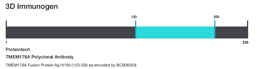 TMEM176A Polyclonal Antibody
