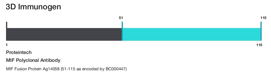 MIF Polyclonal Antibody