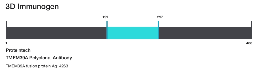 TMEM39A Polyclonal Antibody