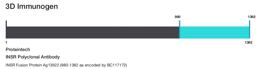 INSR Polyclonal Antibody