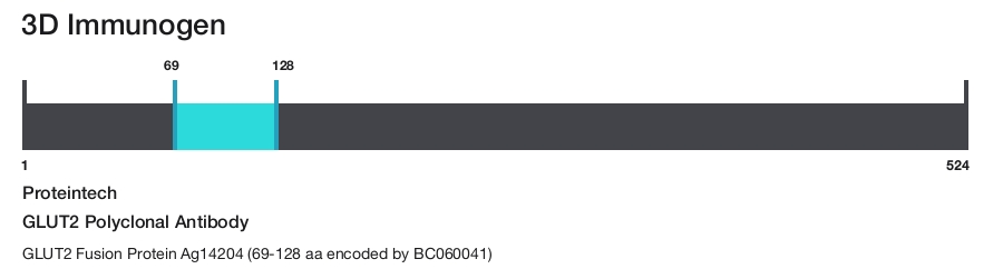 GLUT2 Polyclonal Antibody