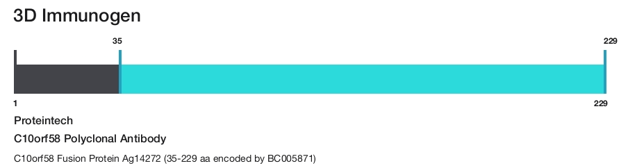 C10orf58 Polyclonal Antibody