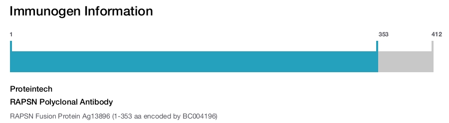 RAPSN Polyclonal Antibody