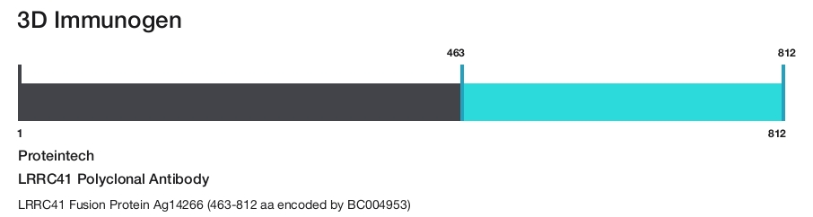 LRRC41 Polyclonal Antibody