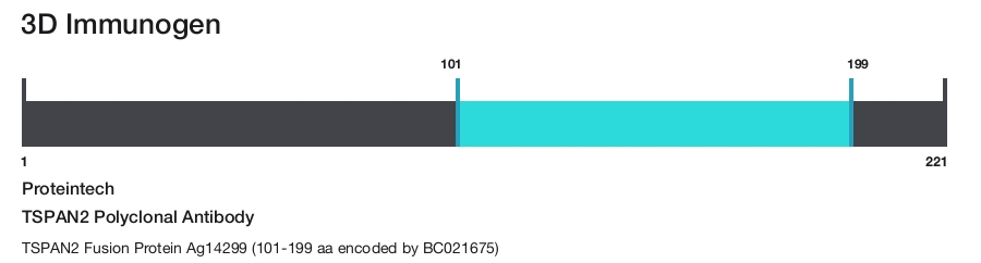 TSPAN2 Polyclonal Antibody