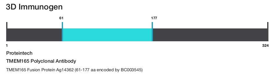 TMEM165 Polyclonal Antibody