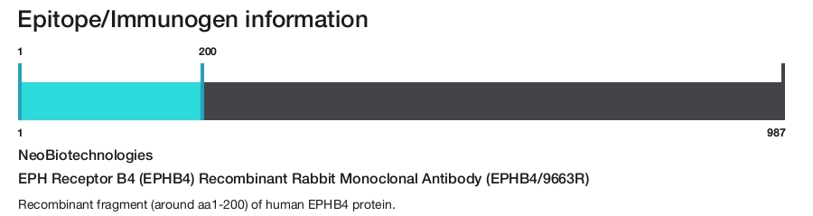 EPH Receptor B4 (EPHB4) Recombinant Rabbit Monoclonal Antibody (EPHB4/9663R)