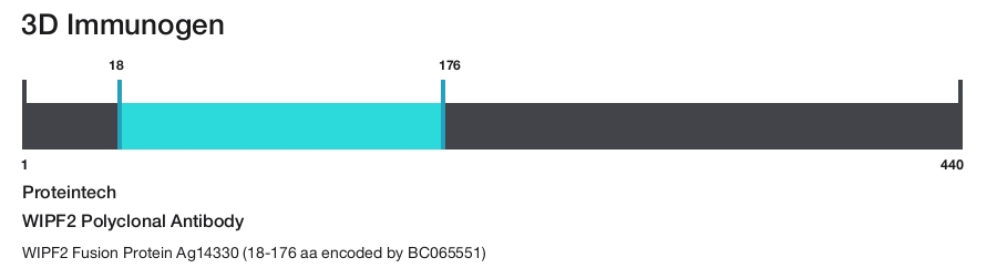 WIPF2 Polyclonal Antibody