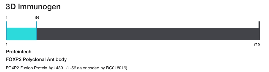 FOXP2 Polyclonal Antibody