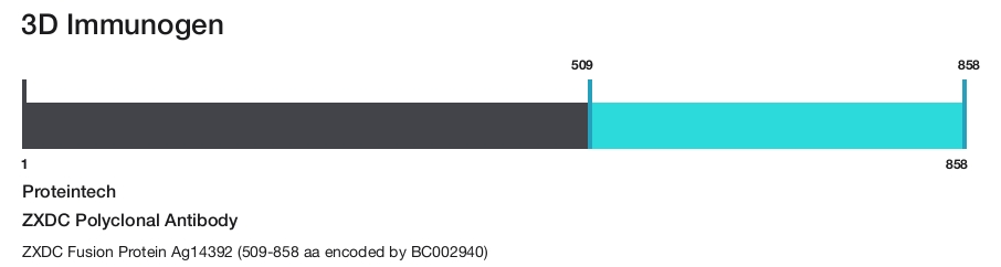 ZXDC Polyclonal Antibody