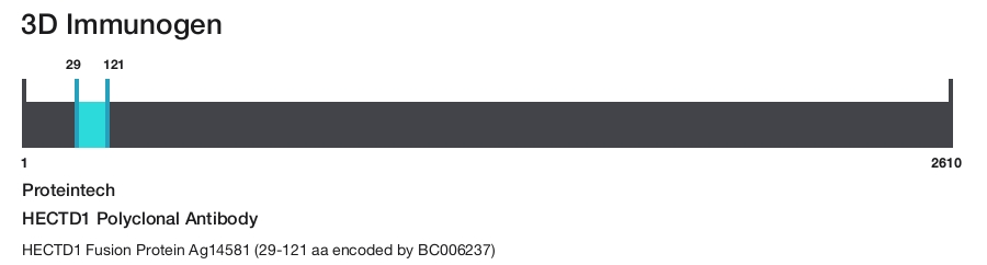 HECTD1 Polyclonal Antibody