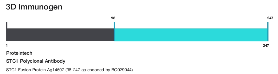 STC1 Polyclonal Antibody