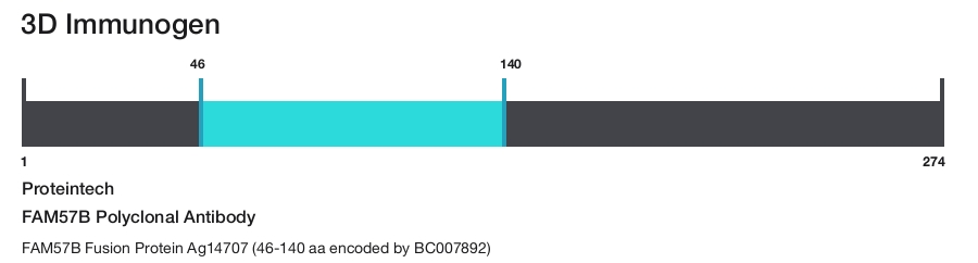 FAM57B Polyclonal Antibody