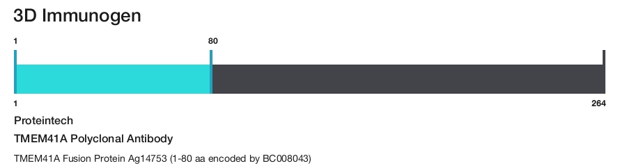 TMEM41A Polyclonal Antibody