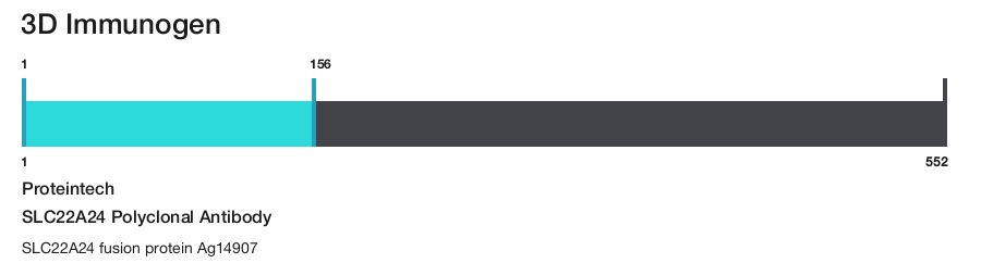 SLC22A24 Polyclonal Antibody