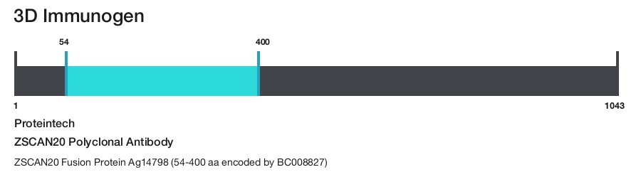 ZSCAN20 Polyclonal Antibody