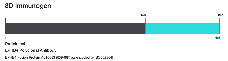 EPHB4 Polyclonal Antibody