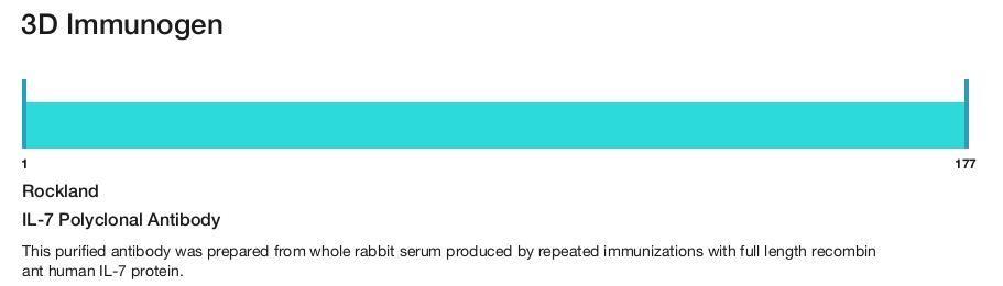 IL-7 Polyclonal Antibody