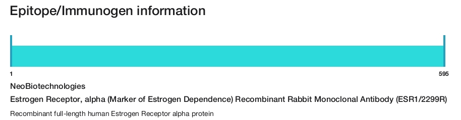 Estrogen Receptor, alpha (Marker of Estrogen Dependence) Recombinant Rabbit Monoclonal Antibody (ESR1/2299R)