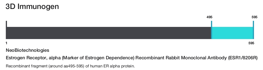 Estrogen Receptor, alpha (Marker of Estrogen Dependence) Recombinant Rabbit Monoclonal Antibody (ESR1/8206R)
