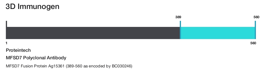 MFSD7 Polyclonal Antibody