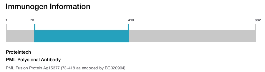 PML Polyclonal Antibody