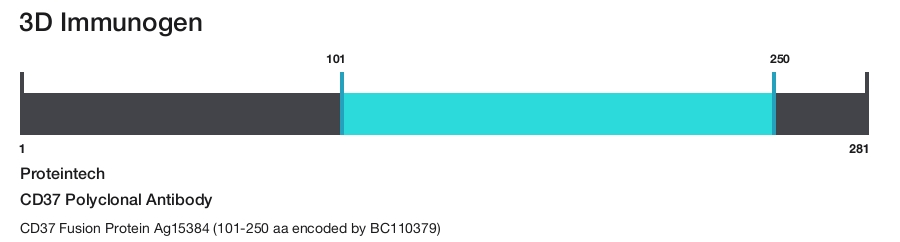 CD37 Polyclonal Antibody