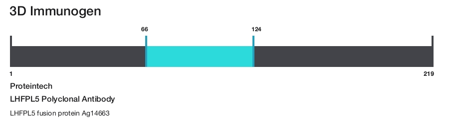 LHFPL5 Polyclonal Antibody