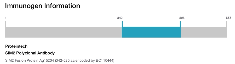 SIM2 Polyclonal Antibody