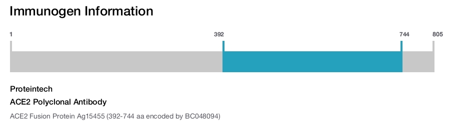 ACE2 Polyclonal Antibody