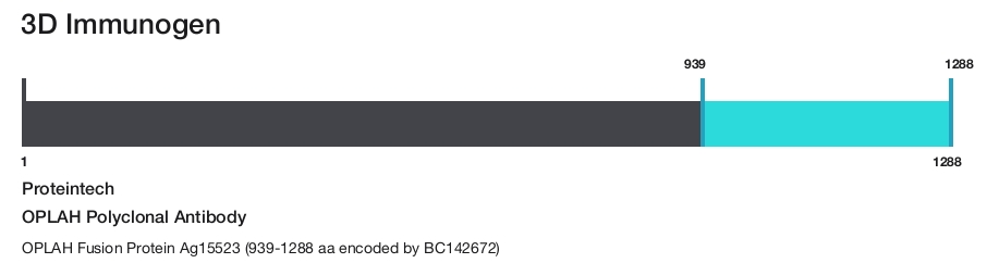 OPLAH Polyclonal Antibody