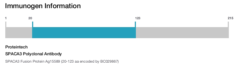 SPACA3 Polyclonal Antibody