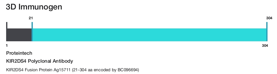 KIR2DS4 Polyclonal Antibody