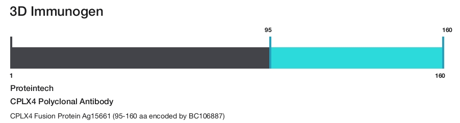 CPLX4 Polyclonal Antibody
