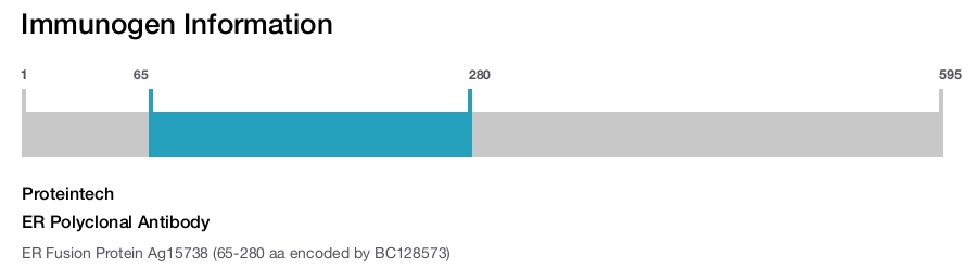 ER Polyclonal Antibody