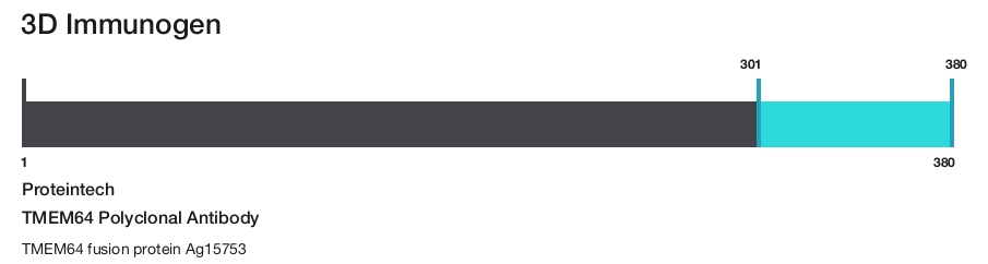 TMEM64 Polyclonal Antibody