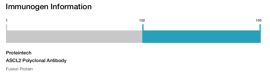 ASCL2 Polyclonal Antibody
