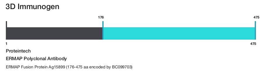ERMAP Polyclonal Antibody