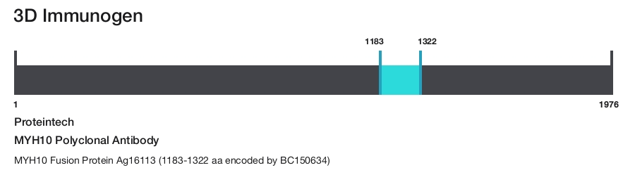MYH10 Polyclonal Antibody