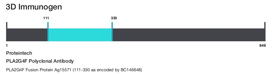 PLA2G4F Polyclonal Antibody